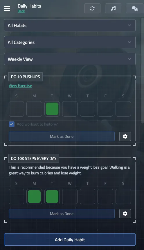 Daily Habits Overview